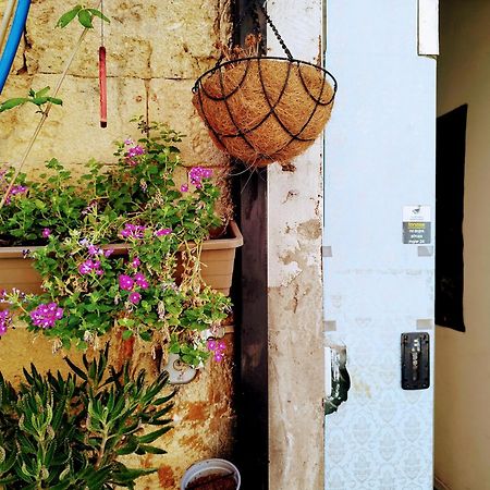 Polihosts Old Jaffa Hostel เทลอาวีฟ ภายนอก รูปภาพ