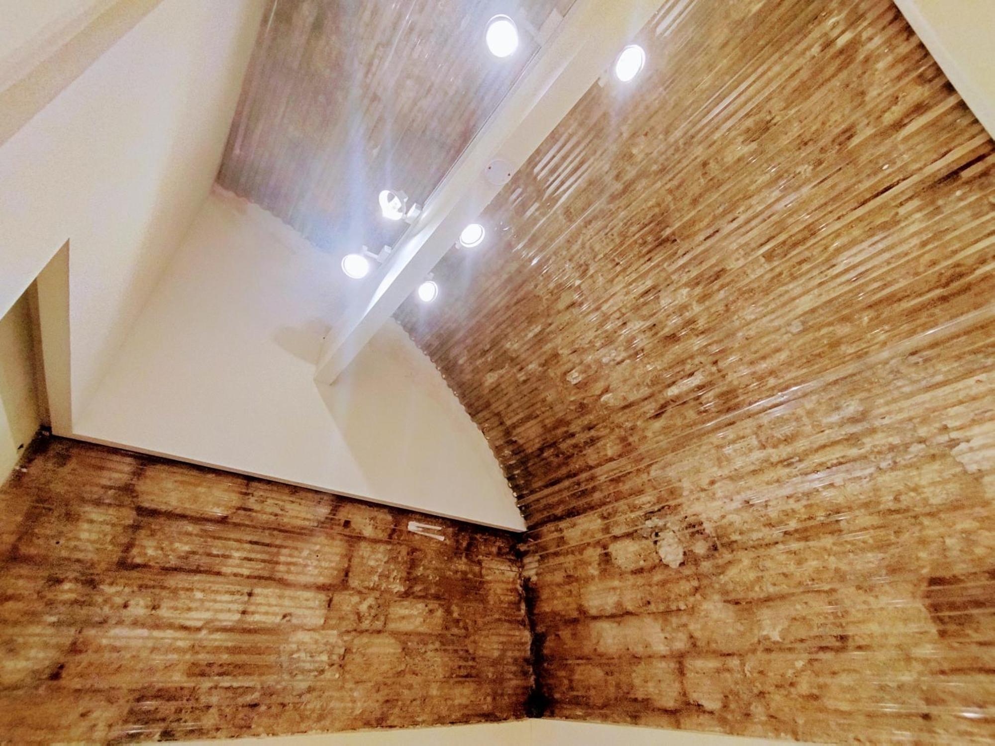 Polihosts Old Jaffa Hostel เทลอาวีฟ ภายนอก รูปภาพ